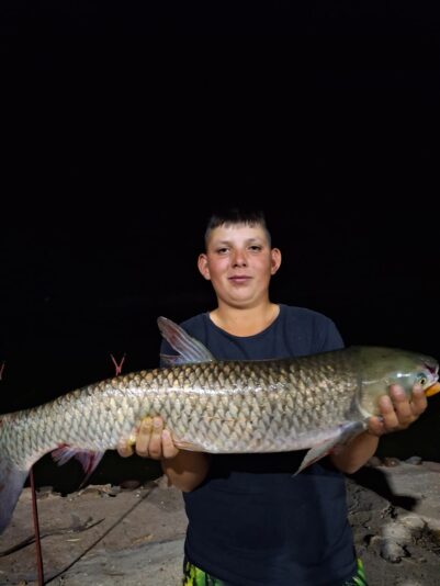 e1722053534a44c393d7aa3cc2a85f48