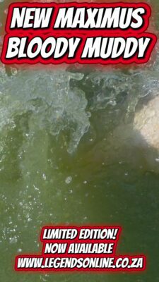 2025-12-05-193251520