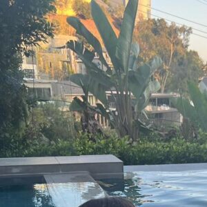 Profile photo of sidonia ann