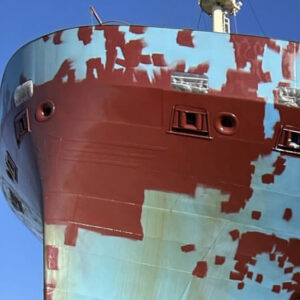 Profile photo of Thomas Stones