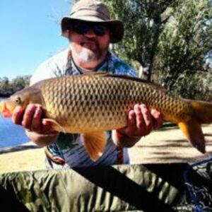 Profile photo of Dewald Pieters