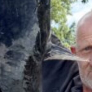 Profile photo of Nicoaas van zweel