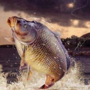 Profile photo of Kevin Botes