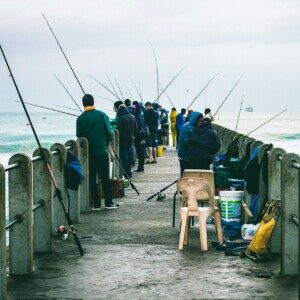Group logo of Cape Town Fishing Crew